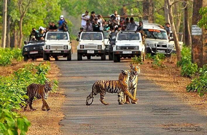Painganga Wildlife Sanctuary, Yavatmal, Maharashtra - Vushii.com